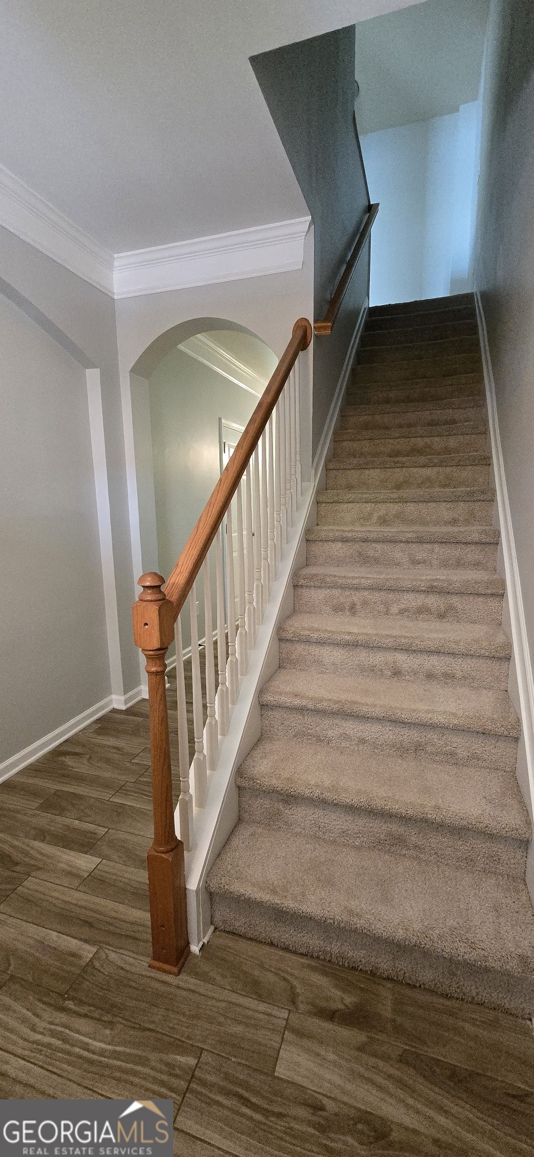 776 Tulip Poplar WAY