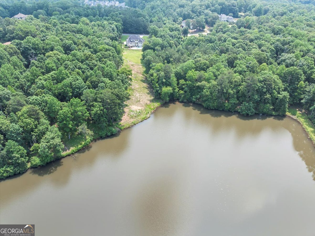 4233 SANDSTONE SHORES DR