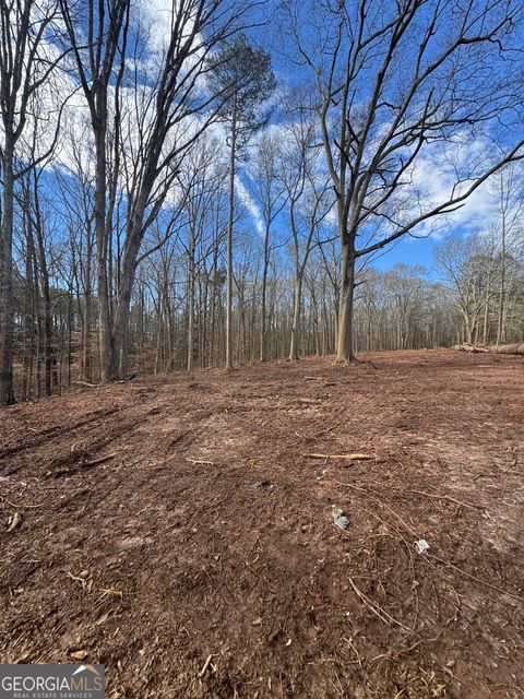 Photo of 231 Roosevelt Circle, Bowman, GA 30624 (MLS # 10697783)