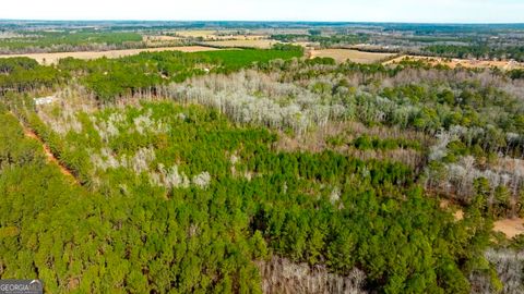 Photo of 0 RIGGS MILL LA Riggs Mill Lane, Statesboro, GA 30458 (MLS # 10694097)