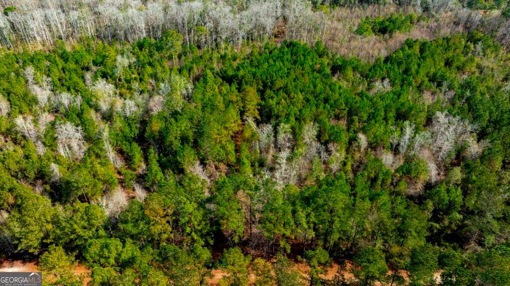 Photo of 0 RIGGS MILL LA Riggs Mill Lane, Statesboro, GA 30458 (MLS # 10694097)