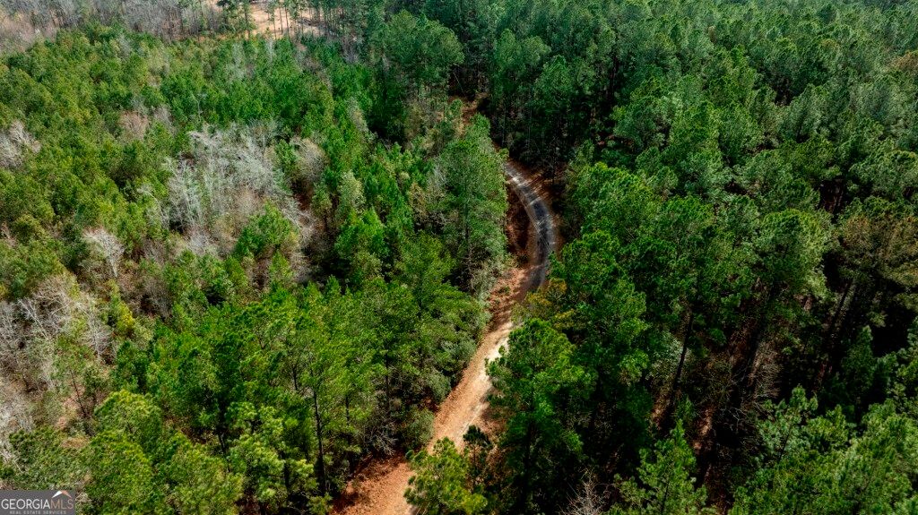 Photo of 0 RIGGS MILL LA Riggs Mill Lane, Statesboro, GA 30458 (MLS # 10694097)