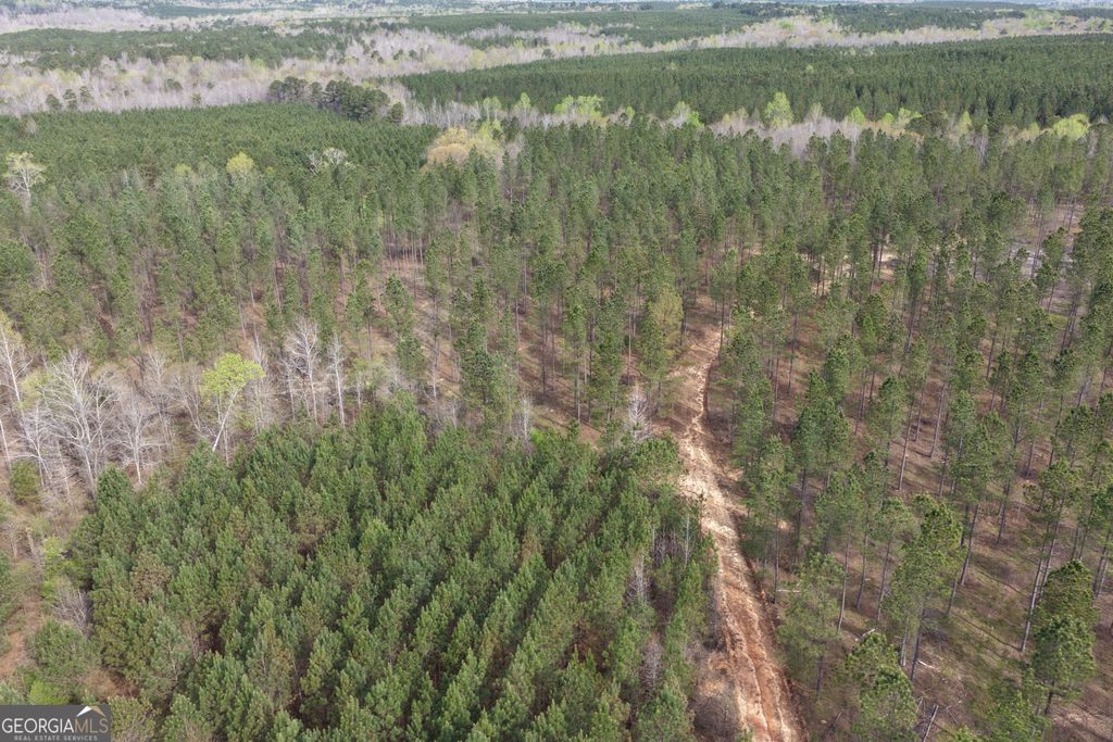 Photo of 205 Woodard Road, Greenville, GA 30222 (MLS # 10718653)