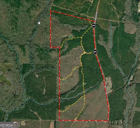 Photo of 205 Woodard Road, Greenville, GA 30222 (MLS # 10718653)