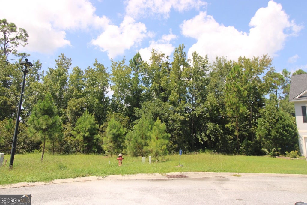 Photo of 202 Drayton Circle, Brunswick, GA 31525 (MLS # 10837649)