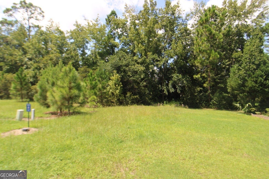 Photo of 202 Drayton Circle, Brunswick, GA 31525 (MLS # 10837649)