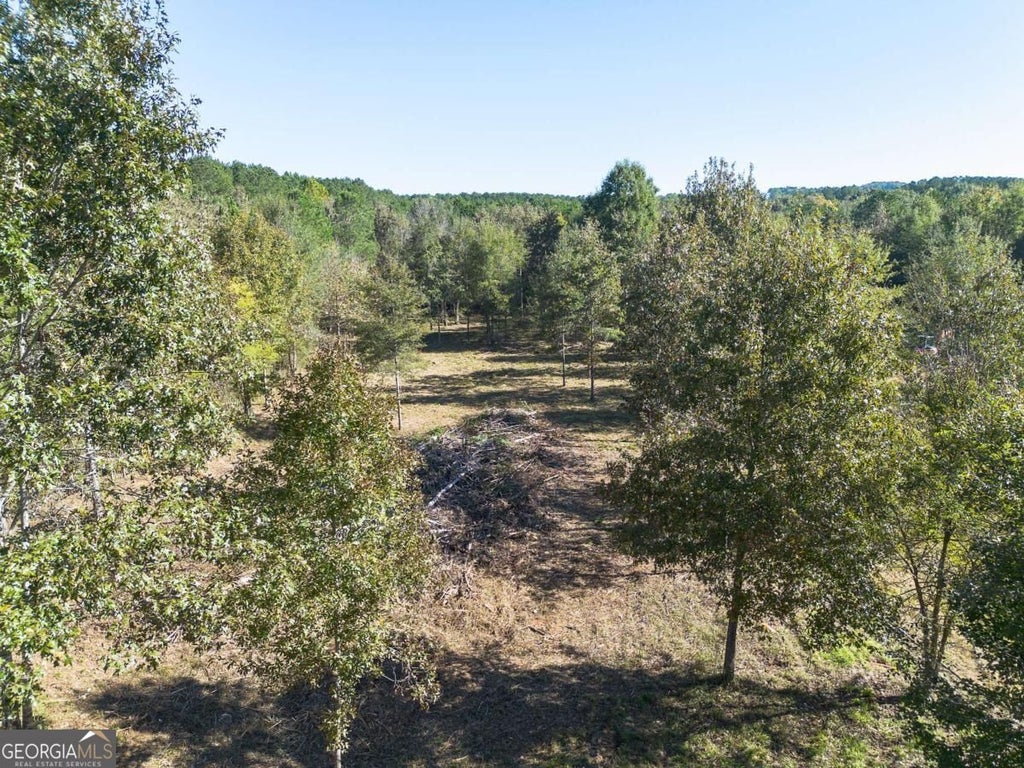 Photo of 656 Darby Road SW, Adairsville, GA 30103 (MLS # 10879402)