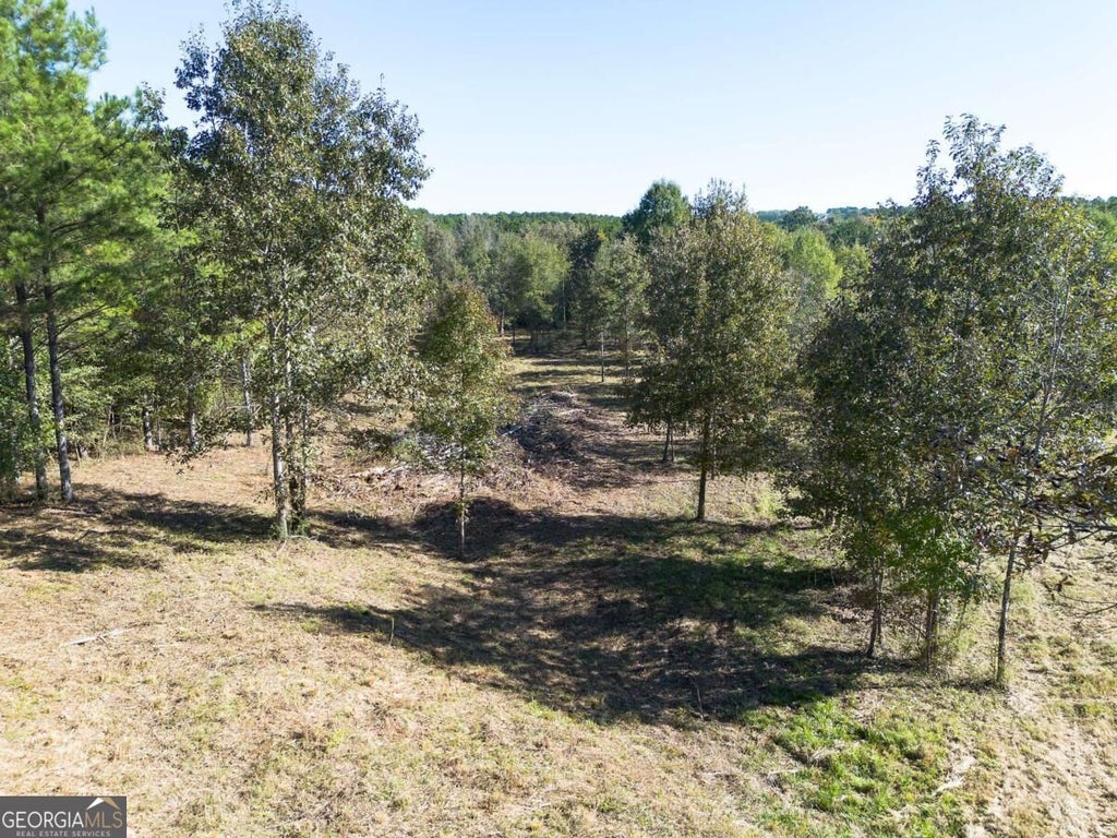 Photo of 656 Darby Road SW, Adairsville, GA 30103 (MLS # 10879402)