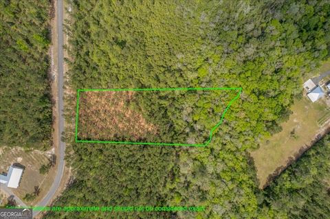 Photo of 22 Heritage Way, Hortense, GA 31543 (MLS # 10731766)