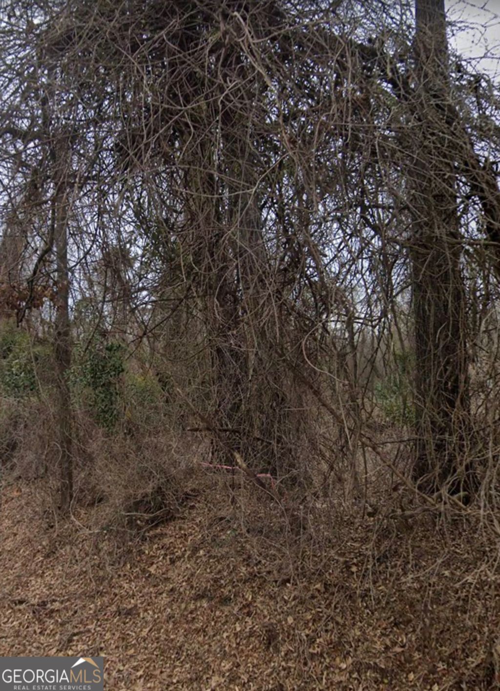 Photo of 450 Old Princeton Road, Athens, GA 30606 (MLS # 10724369)