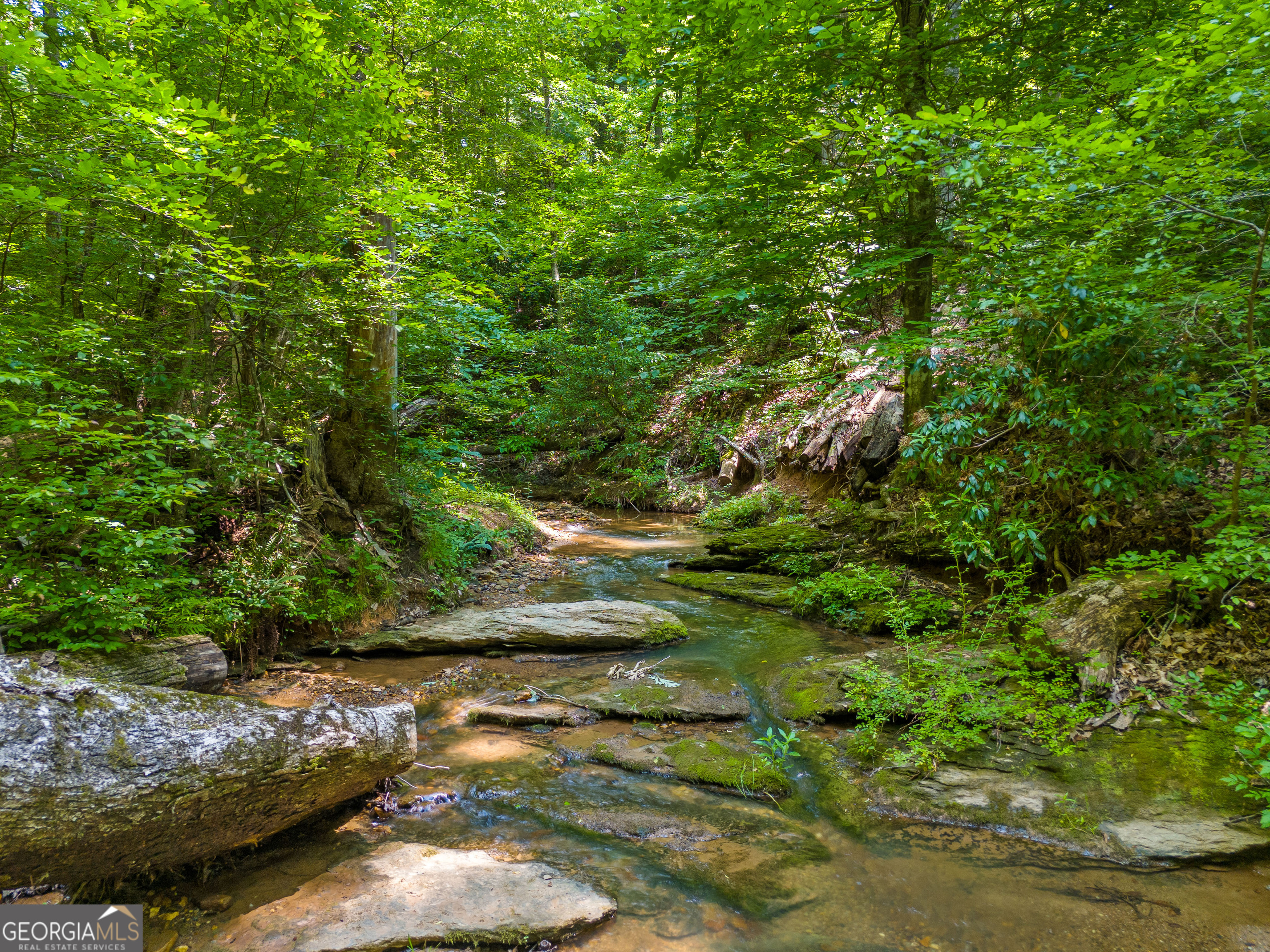 100 AC Mockingbird LN