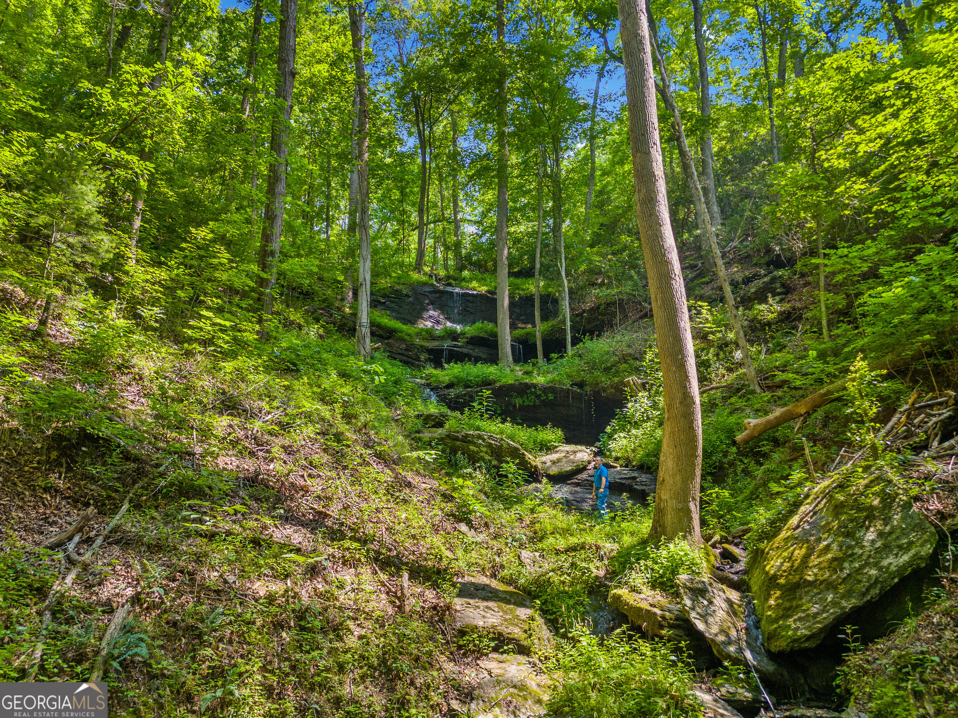 100 AC Mockingbird LN