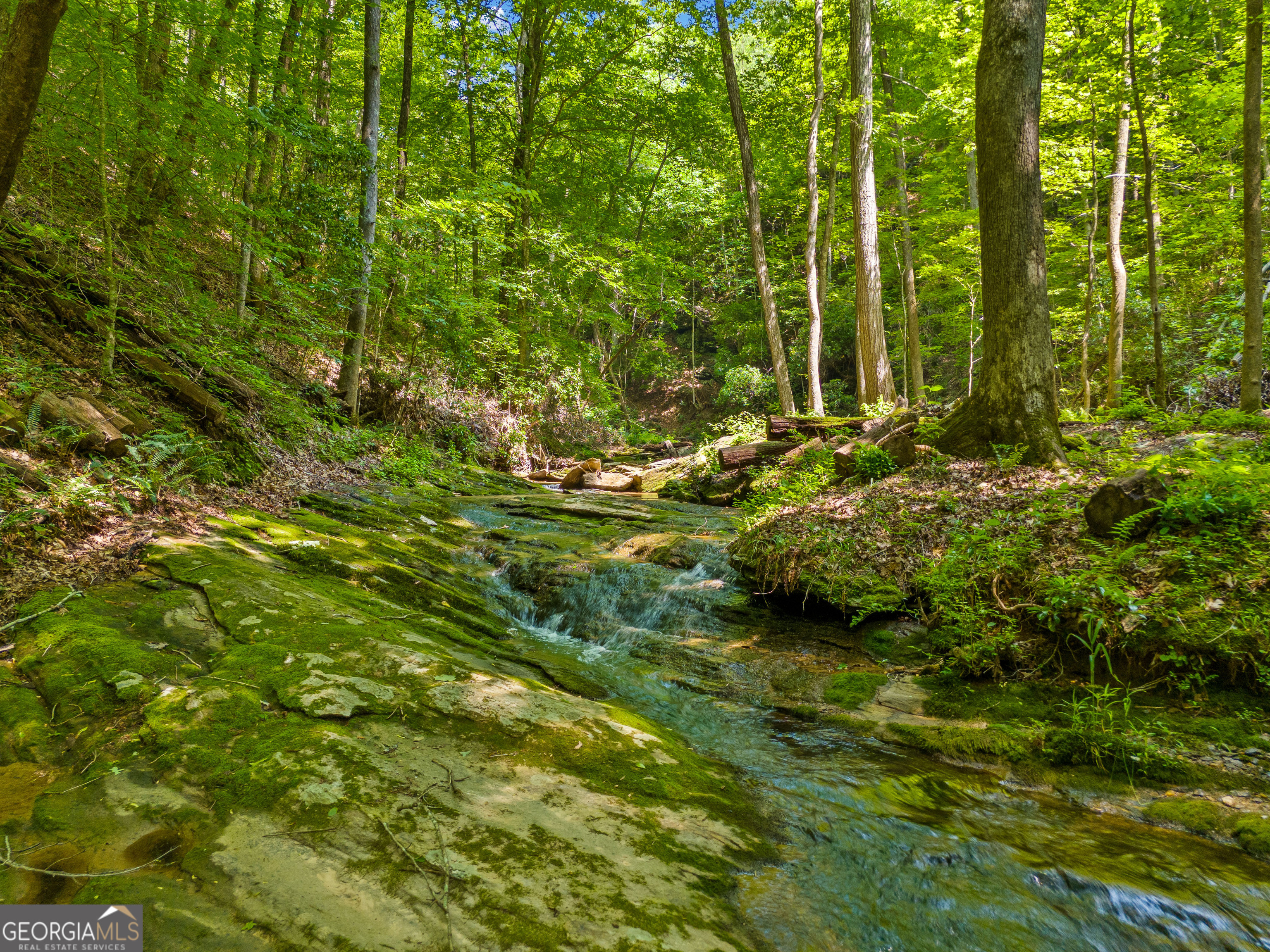 100 AC Mockingbird LN