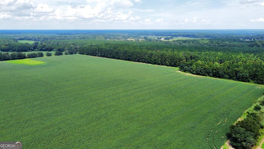 Prime real estate in the Brooklet school district. This impressive 444-acre property presents a rare development opportunity, poised for transformation and growth. The property is bisected by a four-lane highway allowing for excellent access, visibility and convenience for potential residential or commercial ventures. The untouched land whispers the promise of a new community or an entrepreneurial landmark development. Don't miss out on the opportunity to shape the future in a top location that blends the tranquility of the country with the convenience of access to Brooklet and Statesboro. Located approximately 20 miles from Hyundai plant site, 5 miles from Statesboro, 5 miles to interstate 16, and 6 miles to Brooklet.