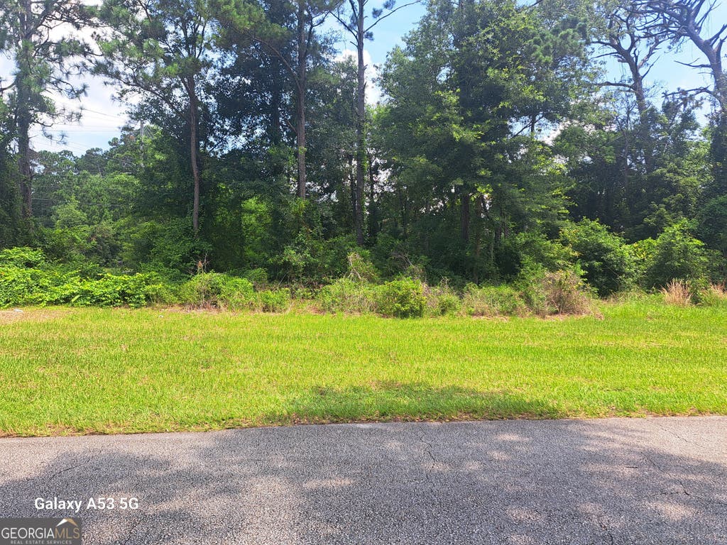 Photo of 1100 Point Peter Road, St. Marys, GA 31558 (MLS # 10785363)