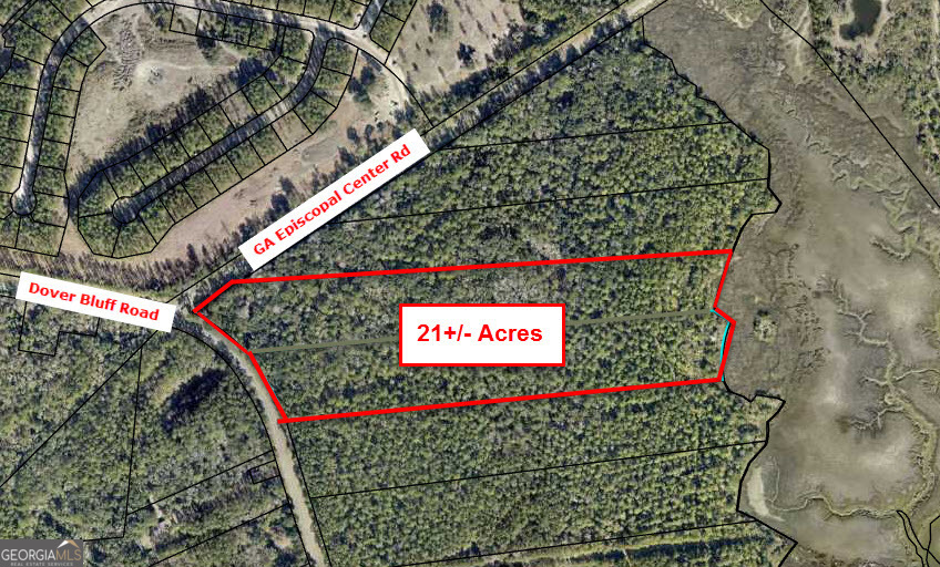 Photo 1 of 2 — 0 Dover Bluff Rd & GA Episcopal Center Rd CTR, Waverly, GA 31565
