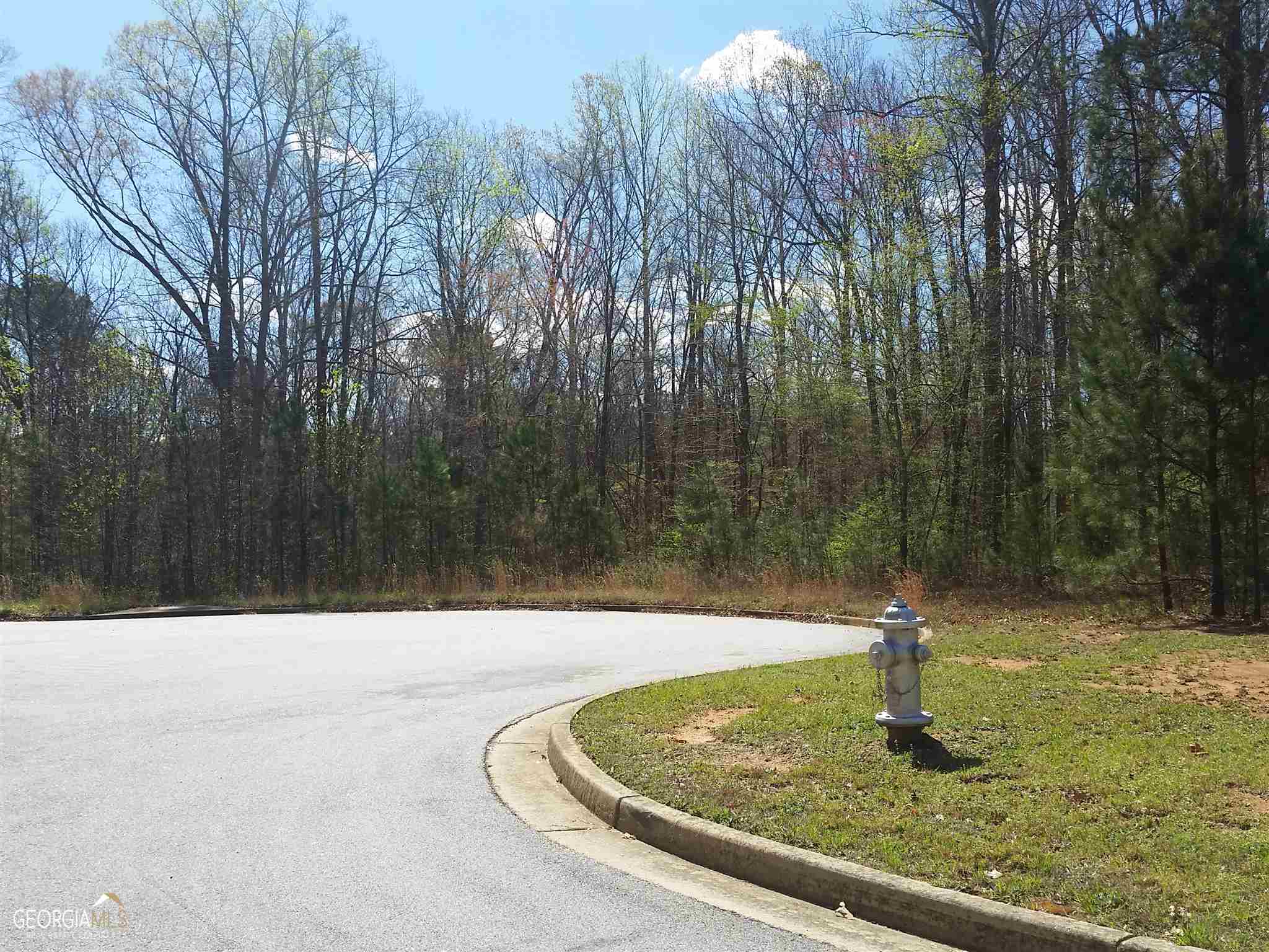 PREMIUM RESIDENTIAL LOTS CURRENTLY AVAILABLE IN SUBURBAN ATLANTA. SELLER FINANCING AVAILABLE. EXCELLENT OPPORTUNITY TO BUILD THE HOME OF YOUR DREAMS IN LUXURY AND HIGHLY SOUGHT AFTER ESTABLISHED COMMUNITY OR INVEST IN VALUABLE REAL ESTATE IN SUBURBAN ATLANTA. CLOSE TO RECREATIONAL TRAIL, SHOPPING MEDICAL FACILITIES AND MANY AREA AMENITIES. LOTS RANGE FROM 1/2 TO 2 ACRES.