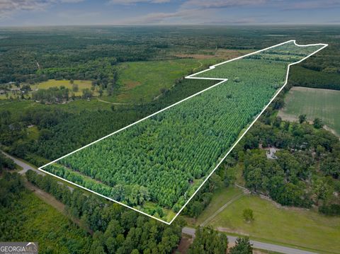 APPRX 218 ACRES Old River RD N Statesboro GA 30461