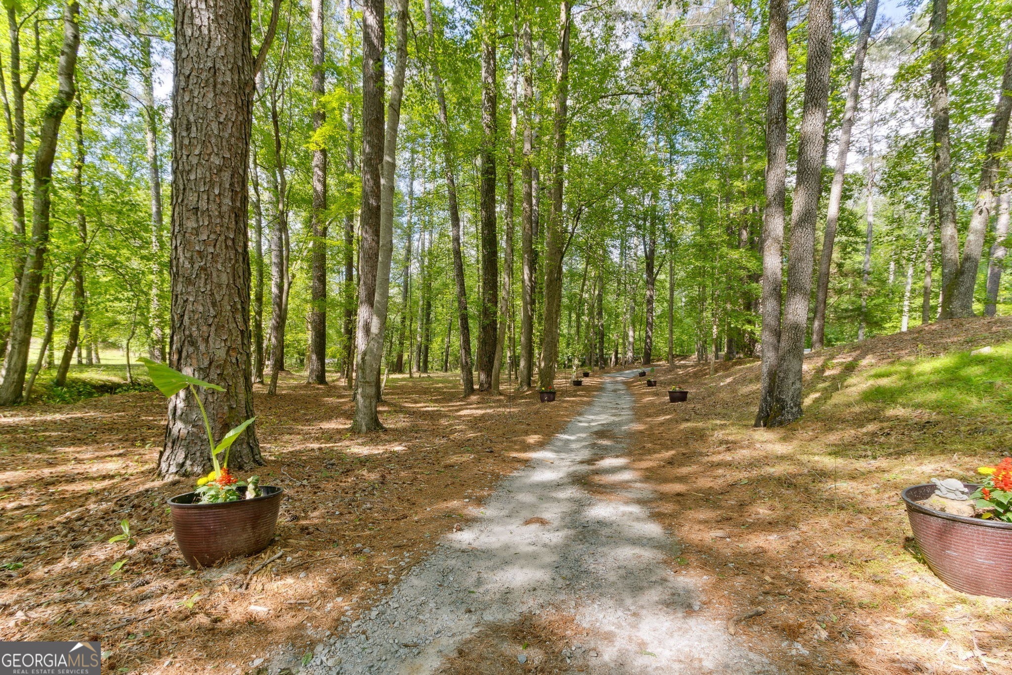 Dacula, Georgia 30019, United States, 4 Bedrooms Bedrooms, ,4 BathroomsBathrooms,Residential,Pending,124062