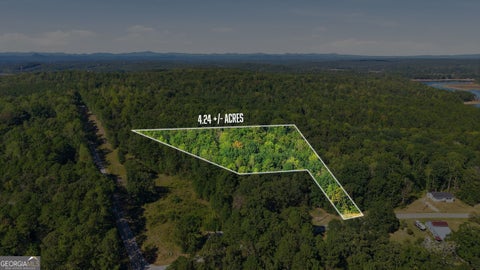 Photo for 2375 E Silver Shoals RD TRACT 2