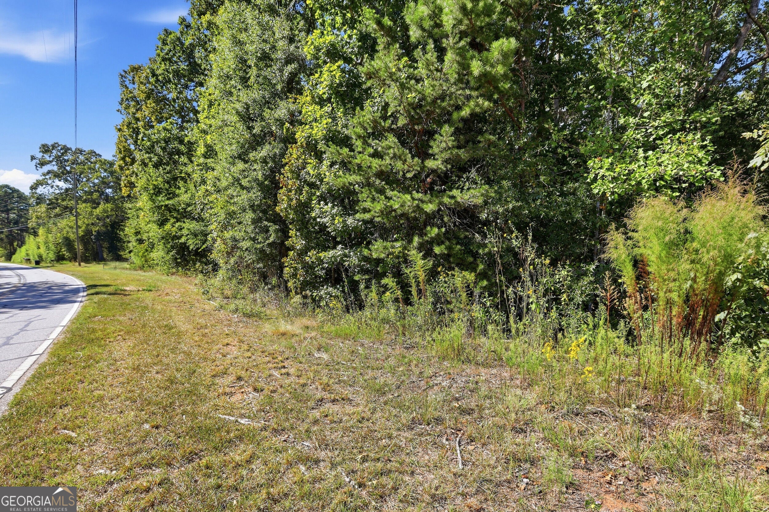2375 E Silver Shoals RD TRACT 2