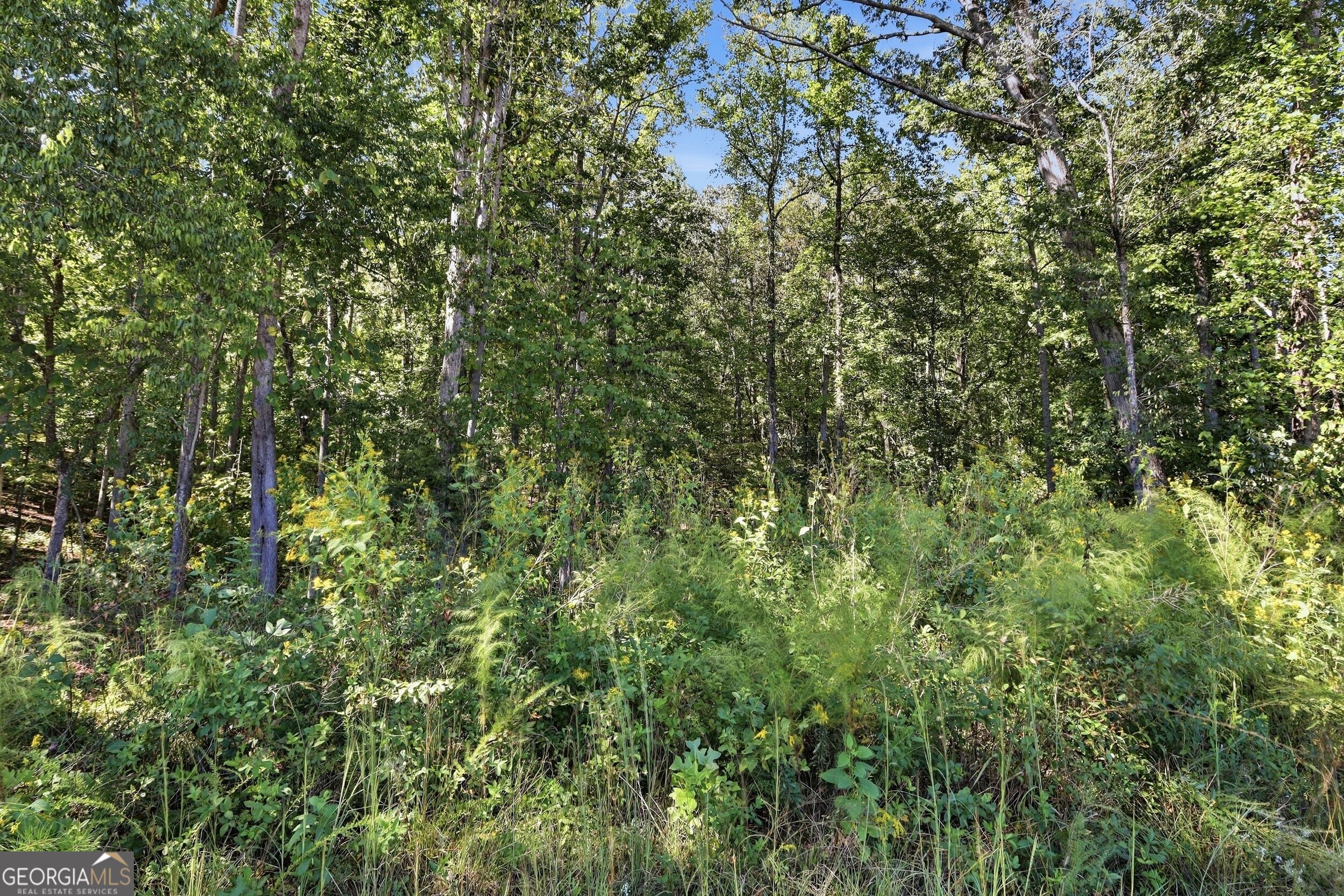 2375 E Silver Shoals RD TRACT 2