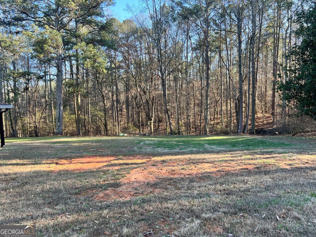 Photo of 6566 Highway 5, Douglasville, GA 30135 (MLS # 10705037)