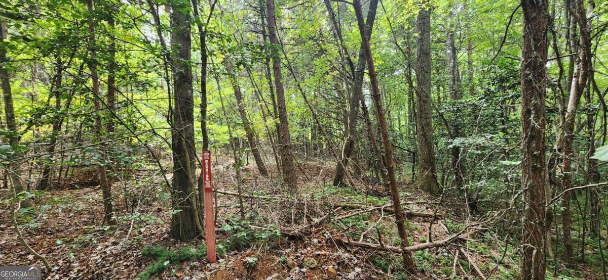 Great lots priced for a quick sale. Build you dream mountain cabin on these 2 fantastic lots that total 1.67 acres in a fantastic, tight nit community. These 2 lots offer a tremendous amount of privacy and also potential views! Fees are very minimal in Old Mill Pond Valley Estates. While you build, the dues will be $250 per year just for road maintenance. If you do not build right away, fees are only $75 per year for road maintenance.