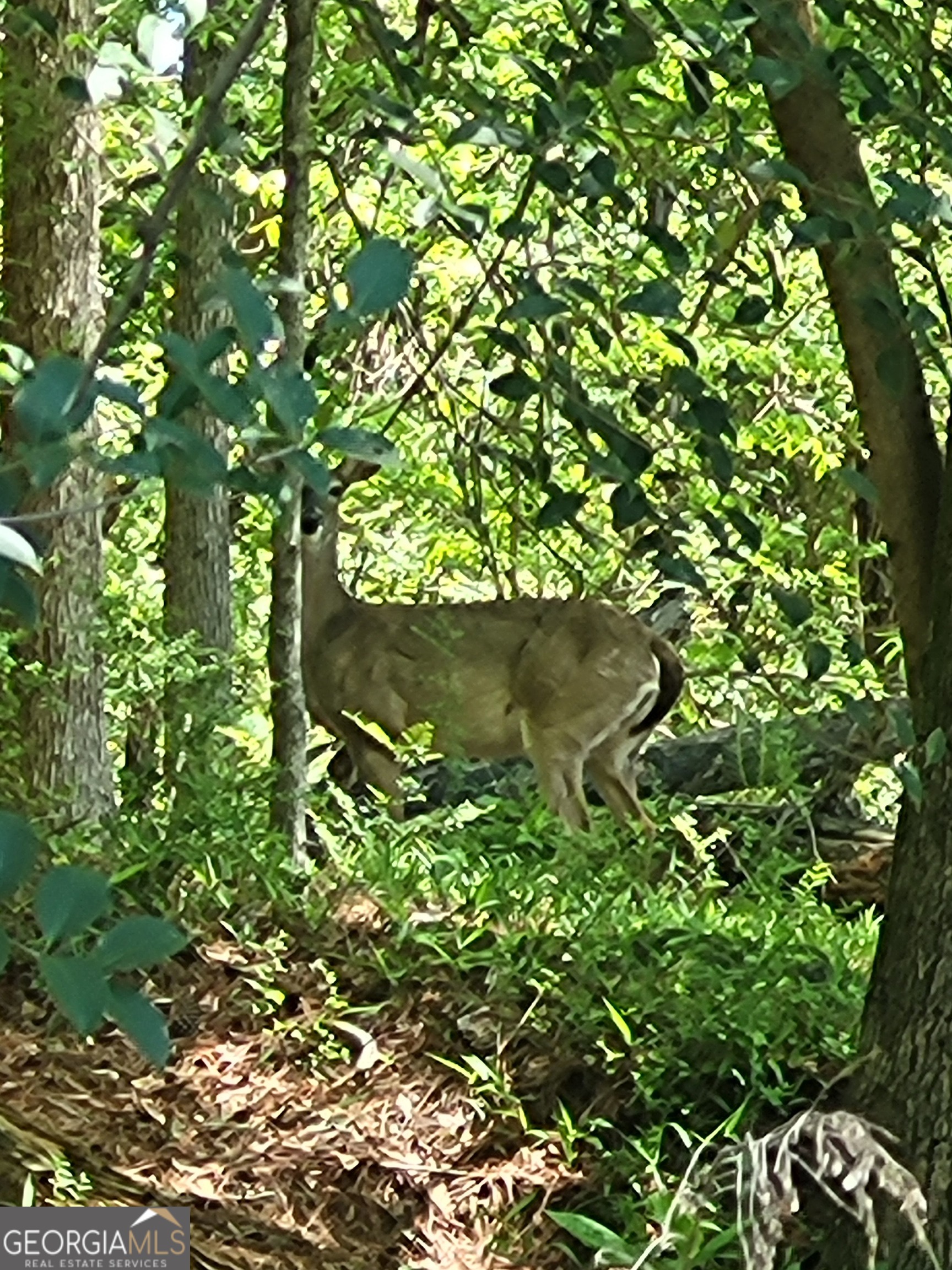 0 NW Grove Park PL NW