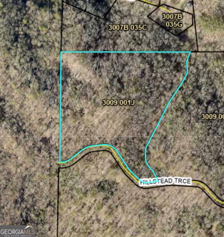 Photo of 29 Hillstead Trace, Ellijay, GA 30540 (MLS # 10853739)