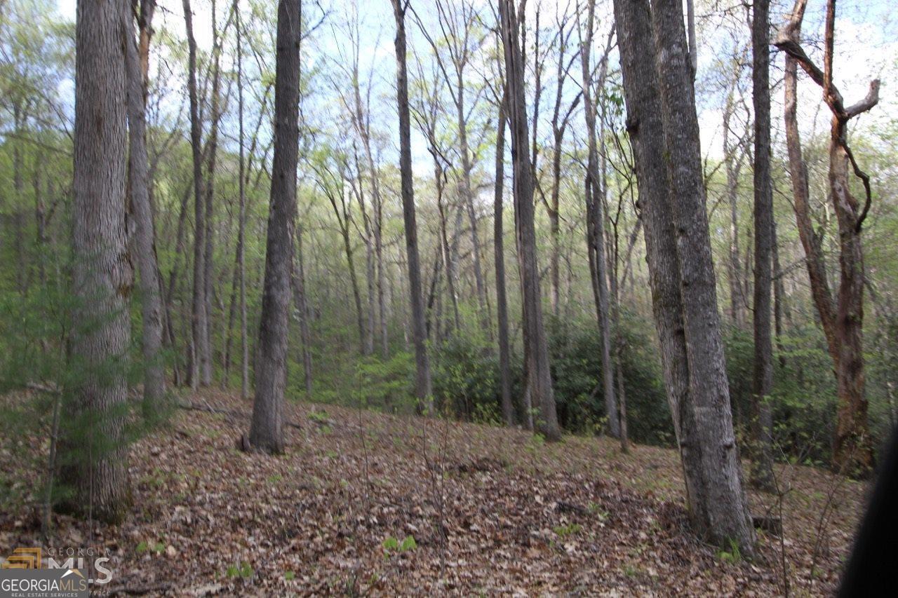 Shadow Mountain - This 3.02 acre home site in a covenant protected community offers a great location for your home. Gentle slope and Southwest facing view. Stream on property. Paved access roads. Close to Dillard.
