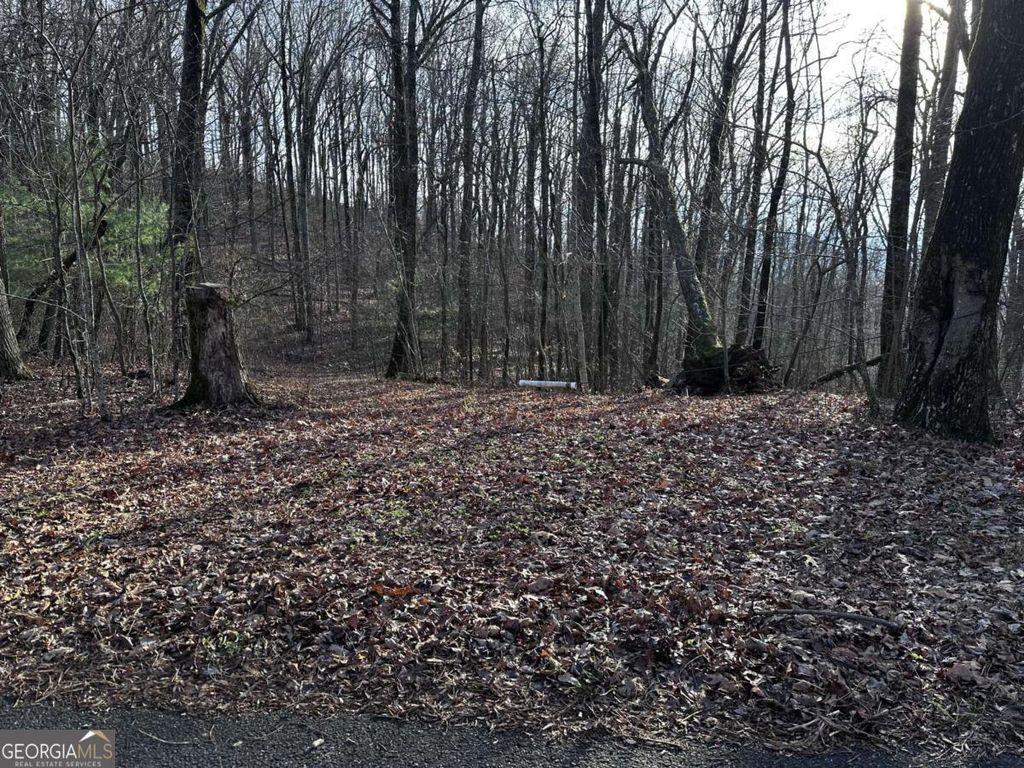 Photo of 32 Andes Ridge, Jasper, GA 30143 (MLS # 10653492)