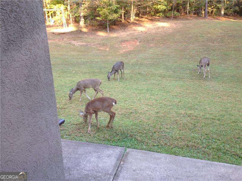 3357 Rising Fawn TRL