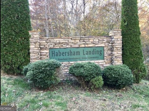 0 Habersham LNDG 28 Demorest GA 30535