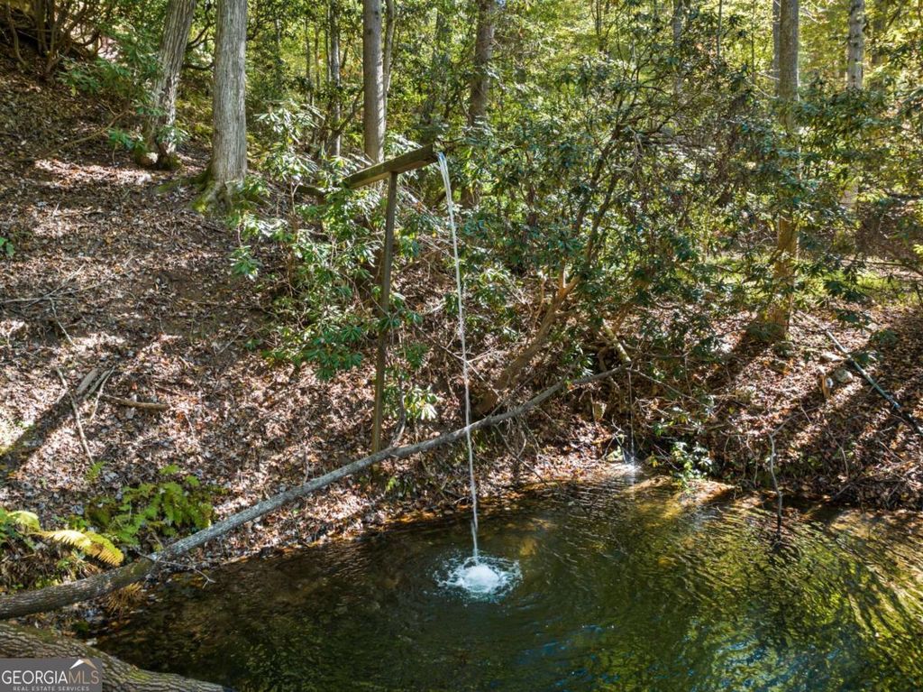 Photo of 454 High Country Drive, Morganton, GA 30560 (MLS # 10735284)