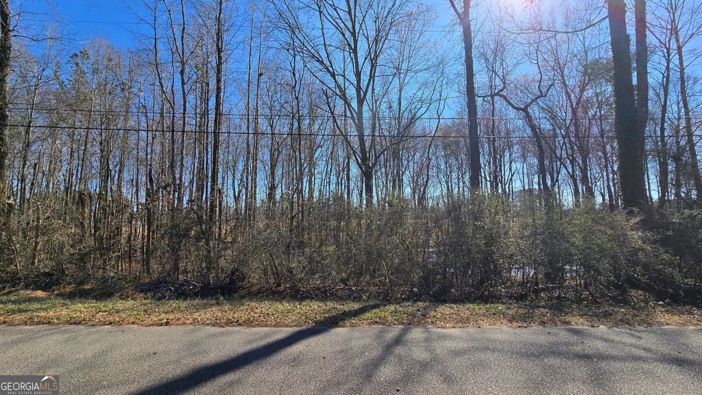 Photo of 1112 Spring Creek Cir, Griffin, GA 30223 (MLS # 10700539)