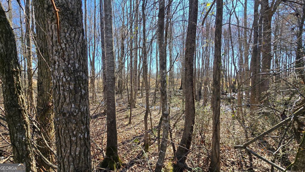 Photo of 1112 Spring Creek Cir, Griffin, GA 30223 (MLS # 10700539)