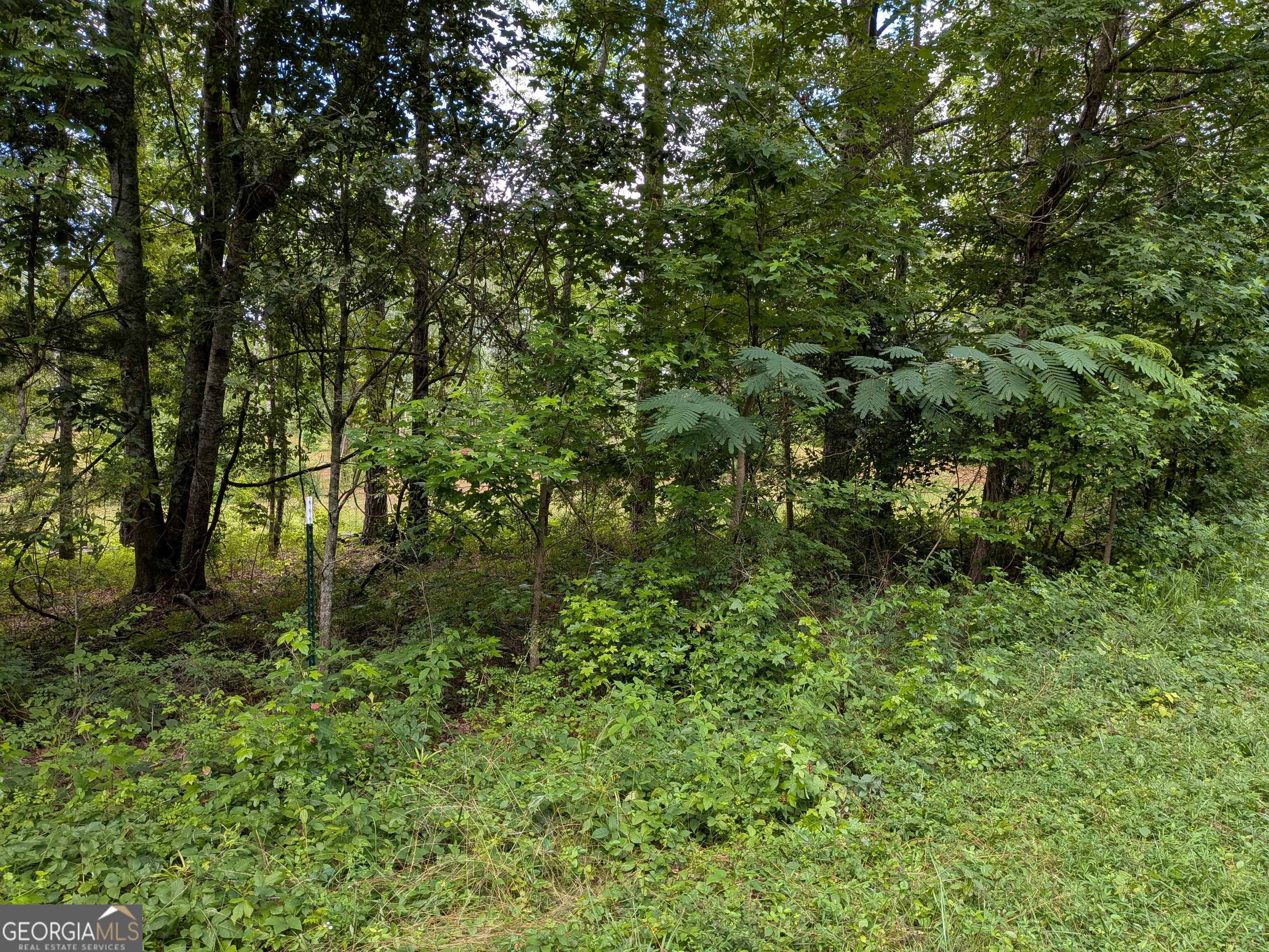 725 Drake Woods RD