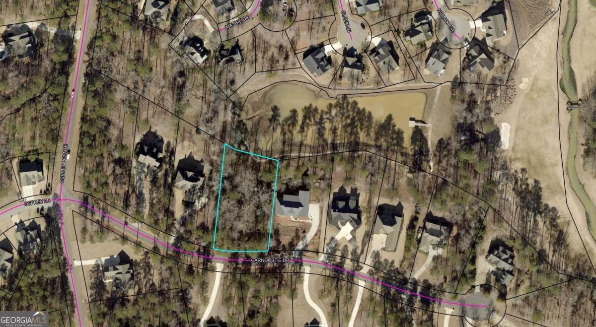 Photo 1 of 31 — 1040 Carnoustie DR, Greensboro, GA 30642