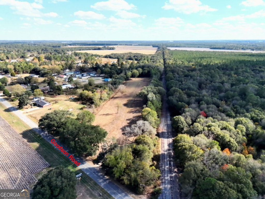 Photo of TBD Goodson Rd, Pelham, GA 31779 (MLS # 10805701)