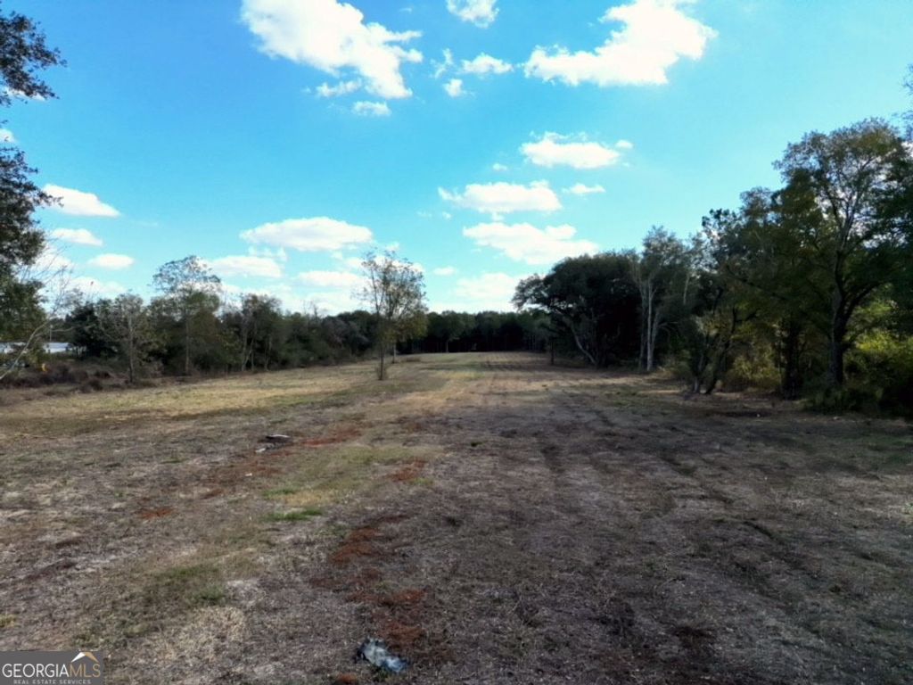 Photo of TBD Goodson Rd, Pelham, GA 31779 (MLS # 10805701)