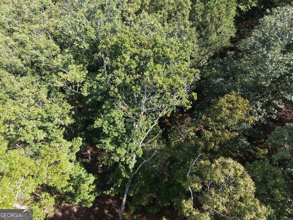 21 Lake Top LN
