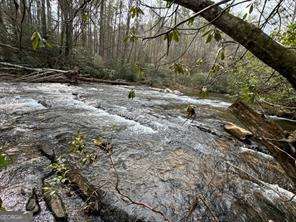 EXCLUSIVE 2.46 ACRE CHESTATEE RIVER LOT in the middle of North Lumpkin (Frogtown) County Wine Country!STEREO SHOALS that you hear as soon as you open the car door! GREAT building site overlooking 450+/- FEET OF CHESTATEE RIVER FRONTAGE, including 2 sets of LOUD WHITEWATER SHOALS - one up river and one down river. Exclusive river subdivision with paved county road, 15 minutes from downtown Dahlonega, or Highway 400. 20 minutes from Cleveland, GA.