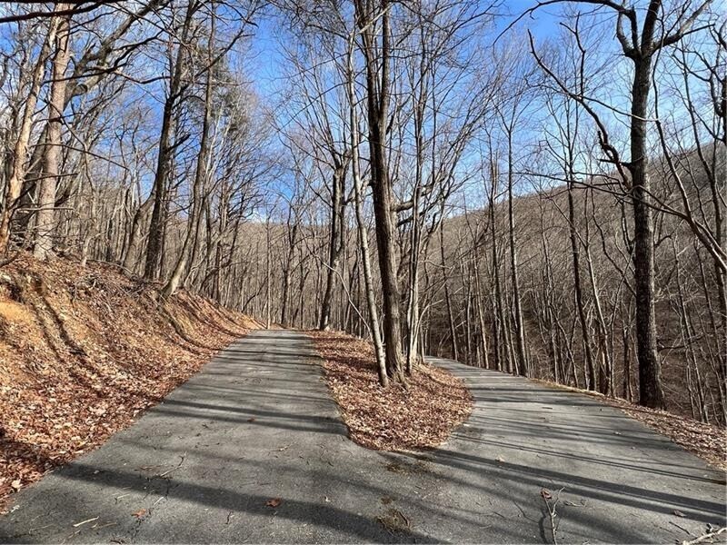 4528 Sassafras Mountain TRL
