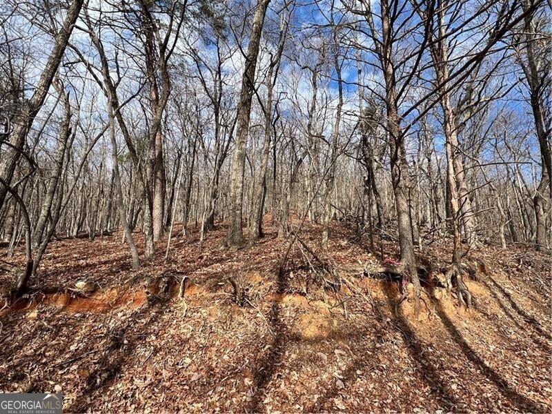 This 1.21 acre lot is located on a cul-de-sac across the road from a mountain stream which when running strong you can hear easily from this lot. The location in the community is in a lesser populated area. If you desire privacy and the quiet and beauty of the woods, a seasonal Mountain View and in a community with amenities, this one is a must see! This lot slopes up from the road to provide a very nice seasonal view of mountains in the distance. Come build your home or cabin here. There is no time limit in which to build. Level Three soil report just completed and available. Come live the mountain life in the 3200 acre community of Bent Tree. ; 18 Hole Golf course, 110 acre lake Tamarack with beach, swimming area, pavilion, outdoor cooking/picnic areas, playground, bocce ball, 1/2 court basketball, stable offering riding and boarding, adult and family pools, indoor and outdoor tennis and Pickleball courts, dog park, hiking trails and walk in access to Eagles Rest trails park. This is a gated community with a mandatory HOA fee. Camping is not allowed.