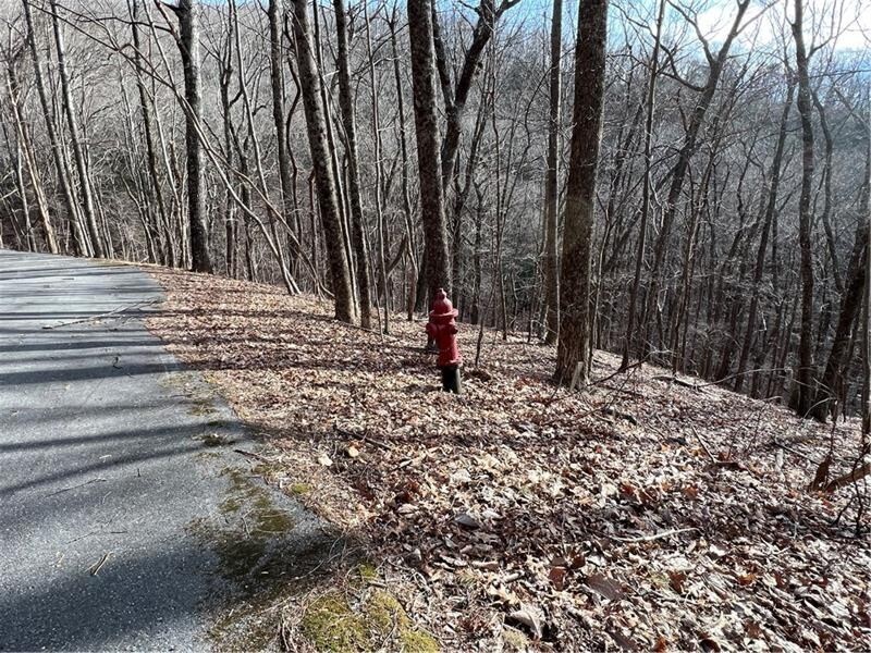 4528 Sassafras Mountain TRL