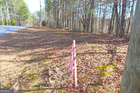 Featured picture for the property 10250981