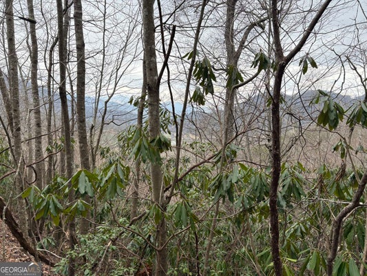COLCHESTER LN, MOUNTAIN CITY, GA 30562 - Image 1216a4e3381c54d14c377dd7111bd4e3/730398063