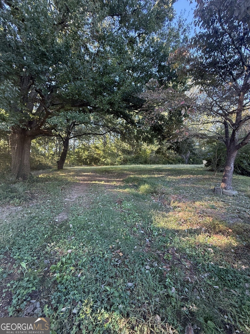 Photo of 338 Thomas Dorsey Drive, Villa Rica, GA 30180 (MLS # 10876891)