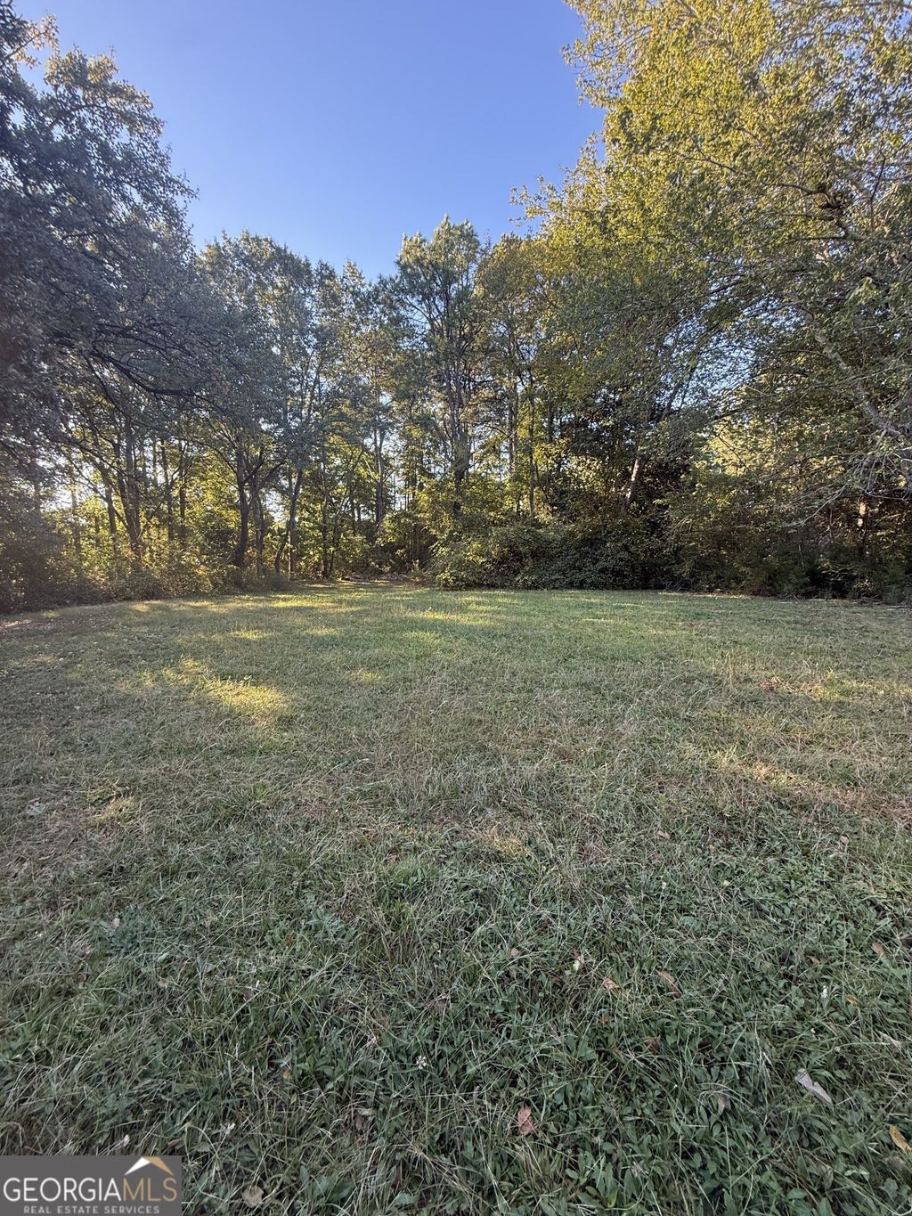 Photo of 338 Thomas Dorsey Drive, Villa Rica, GA 30180 (MLS # 10876891)